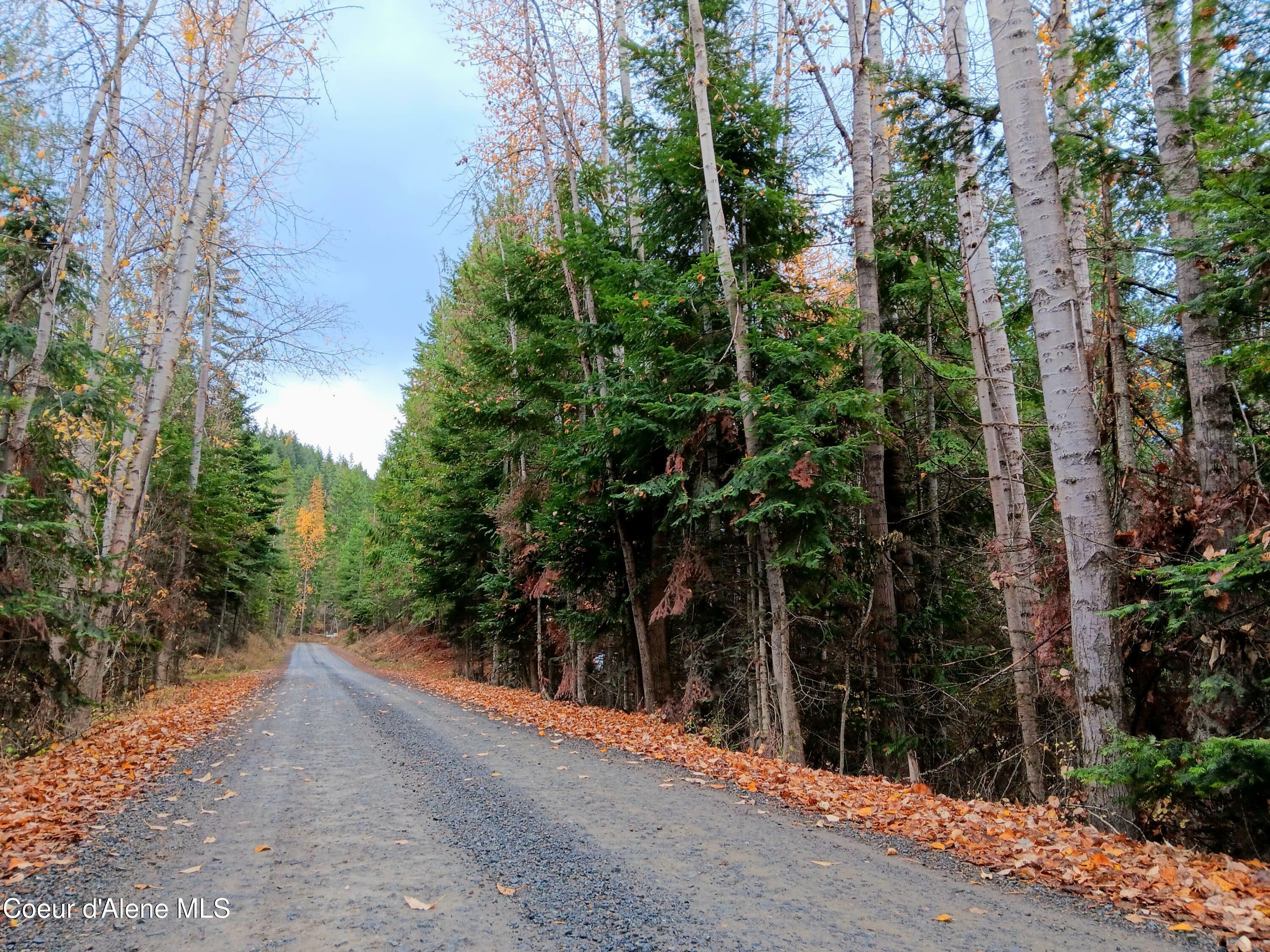 Property Photo:  Nna Green Bay Rd - Lot 2  ID 83860 