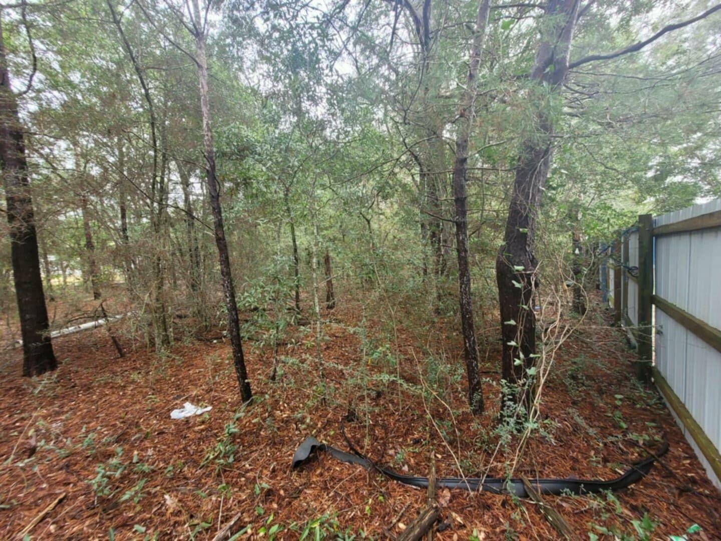 Property Photo:  Lot 5 Blk 6 E. Violet Lane  FL 32433 