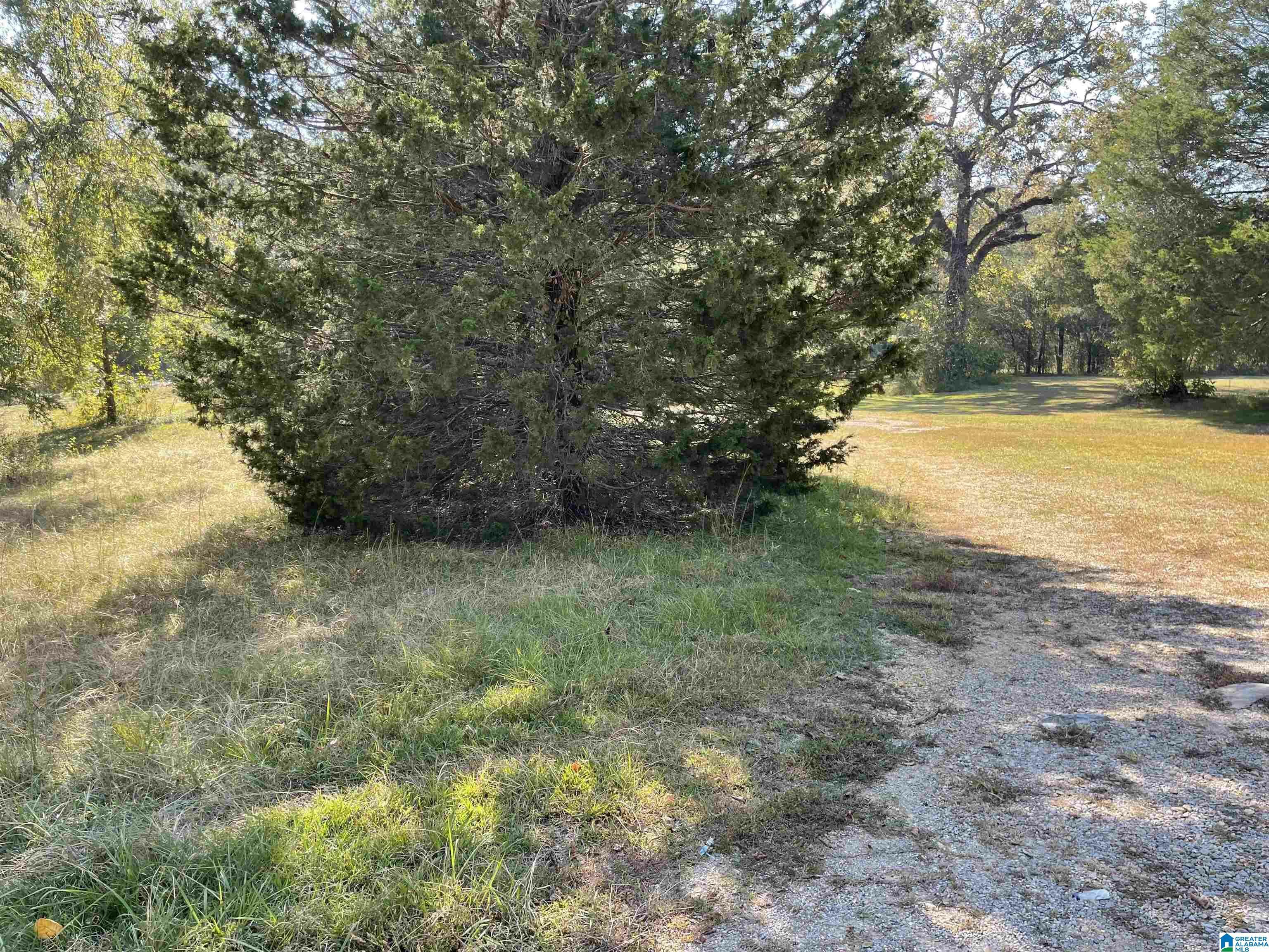 Property Photo:  2356 Mitchellville Road 1.070  AL 35096 