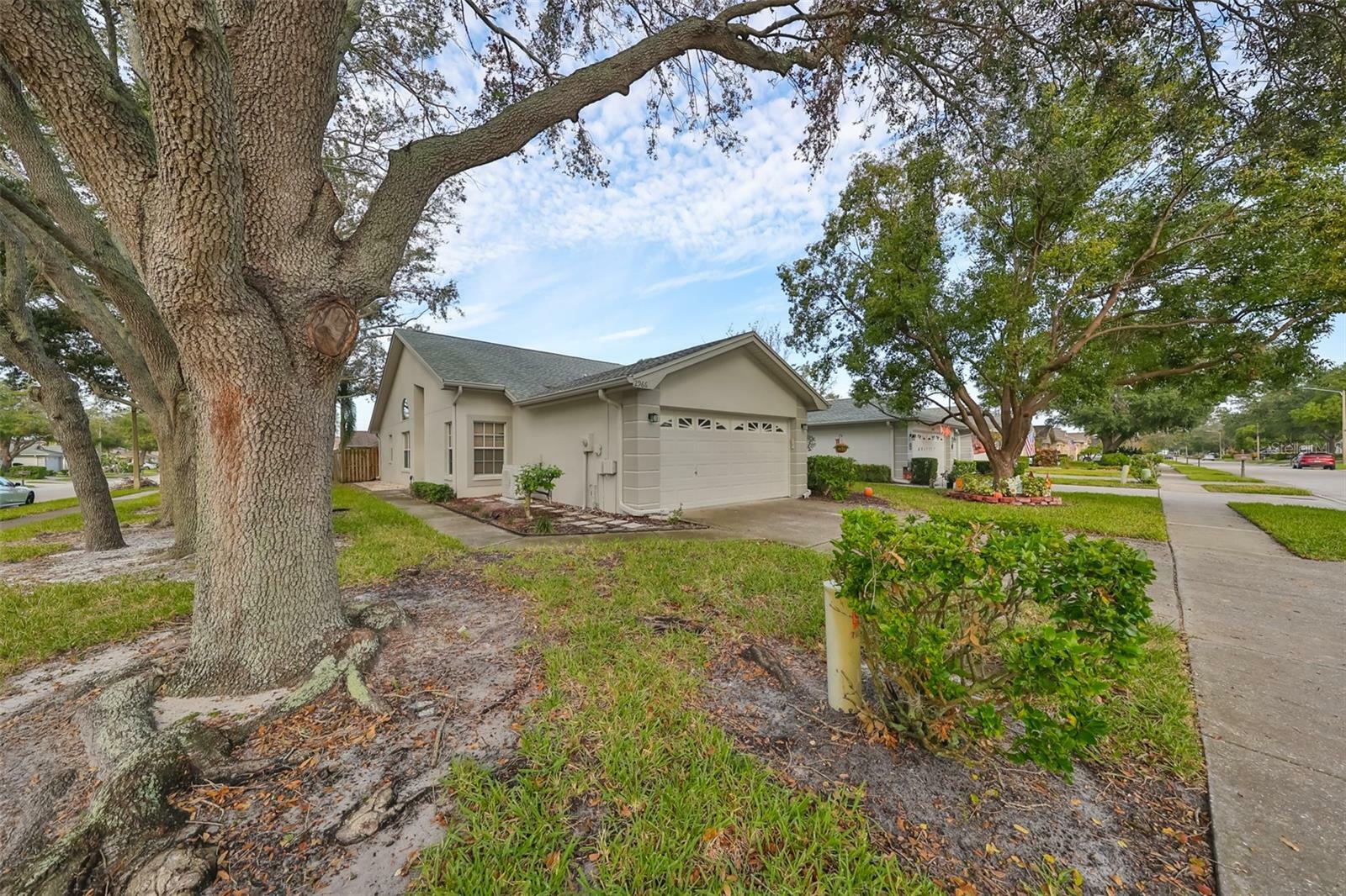 Property Photo:  2966 Brookfield Lane  FL 33761 