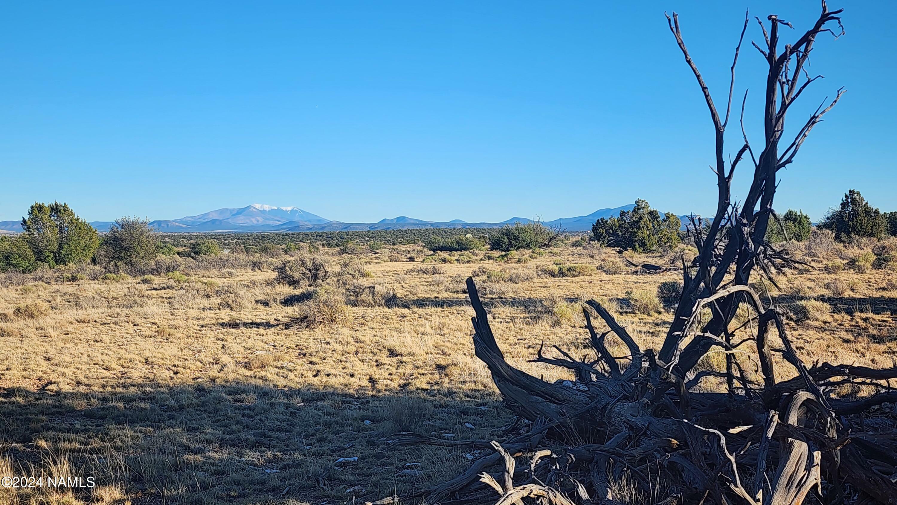 Property Photo:  10424 W Line Cook Trail  AZ 86046 