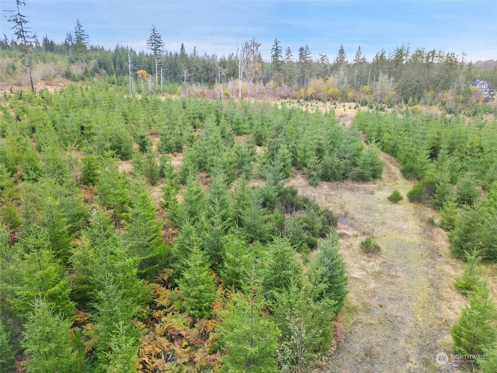 Property Photo:  0 Tr3 W Boyer Road  WA 98584 