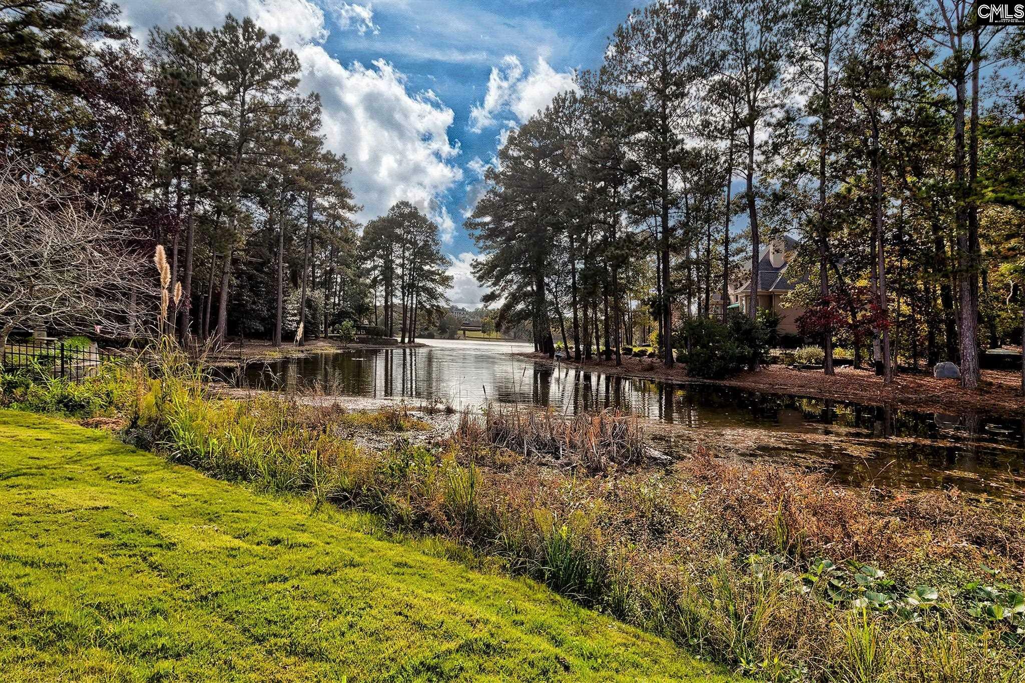 Property Photo:  12 Beaver Lake  SC 29045 