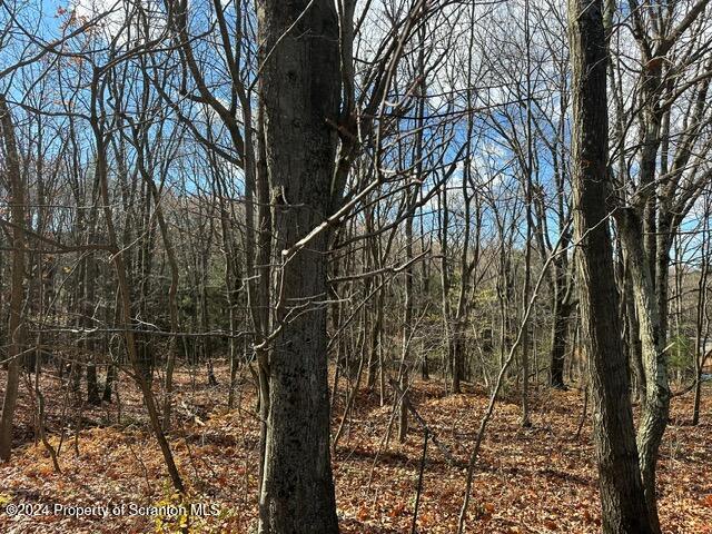 Property Photo:  Archbald Mt Road  PA 18436 