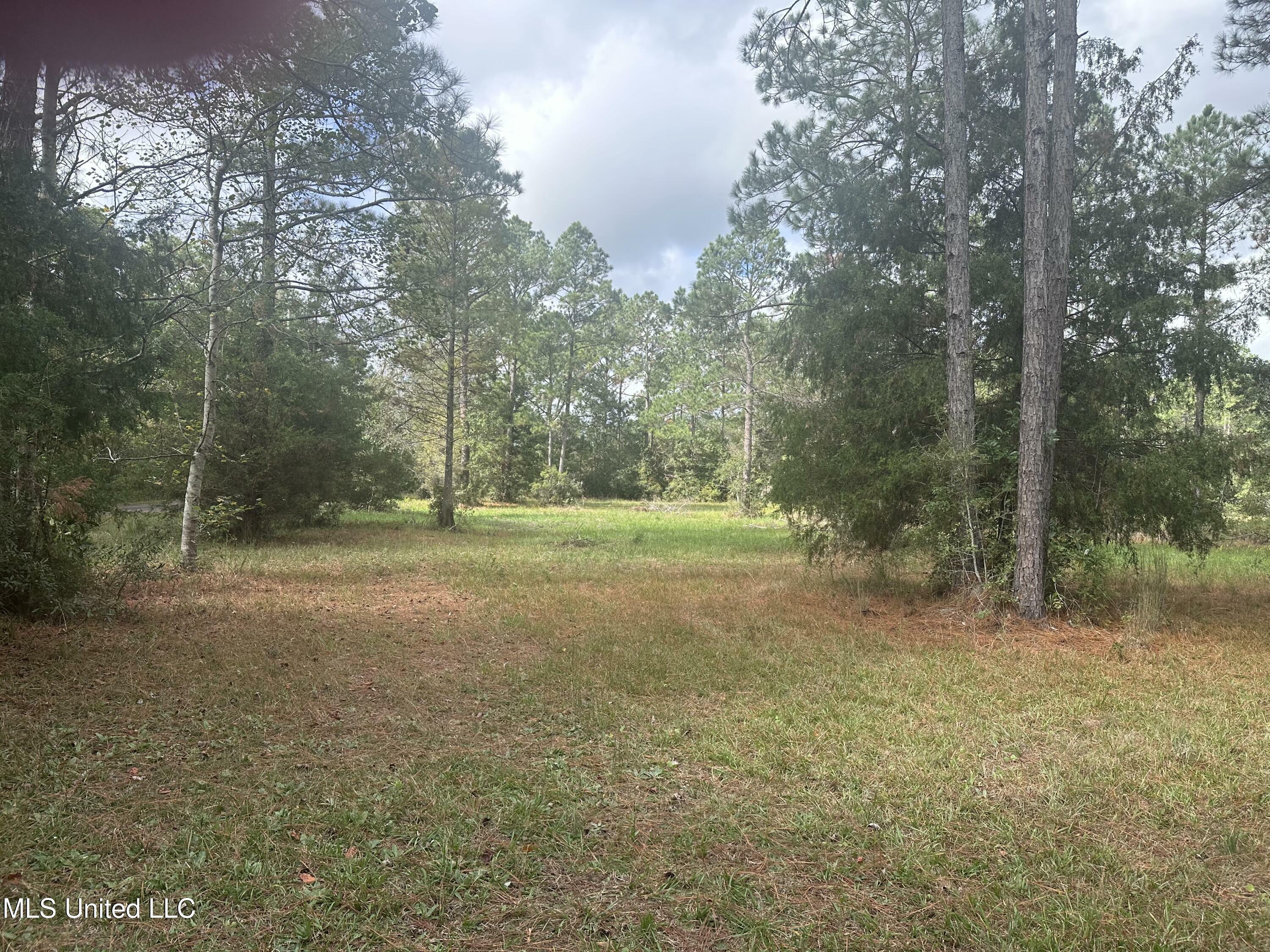 Property Photo:  Michael Drive  MS 39562 