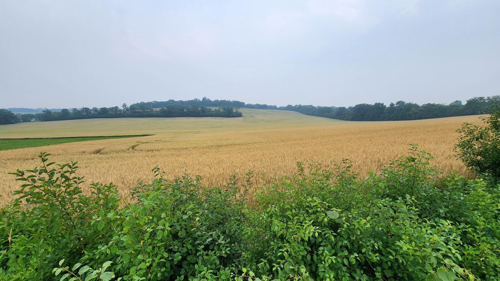 Property Photo: Lt2 County Road Nn - WI 53149