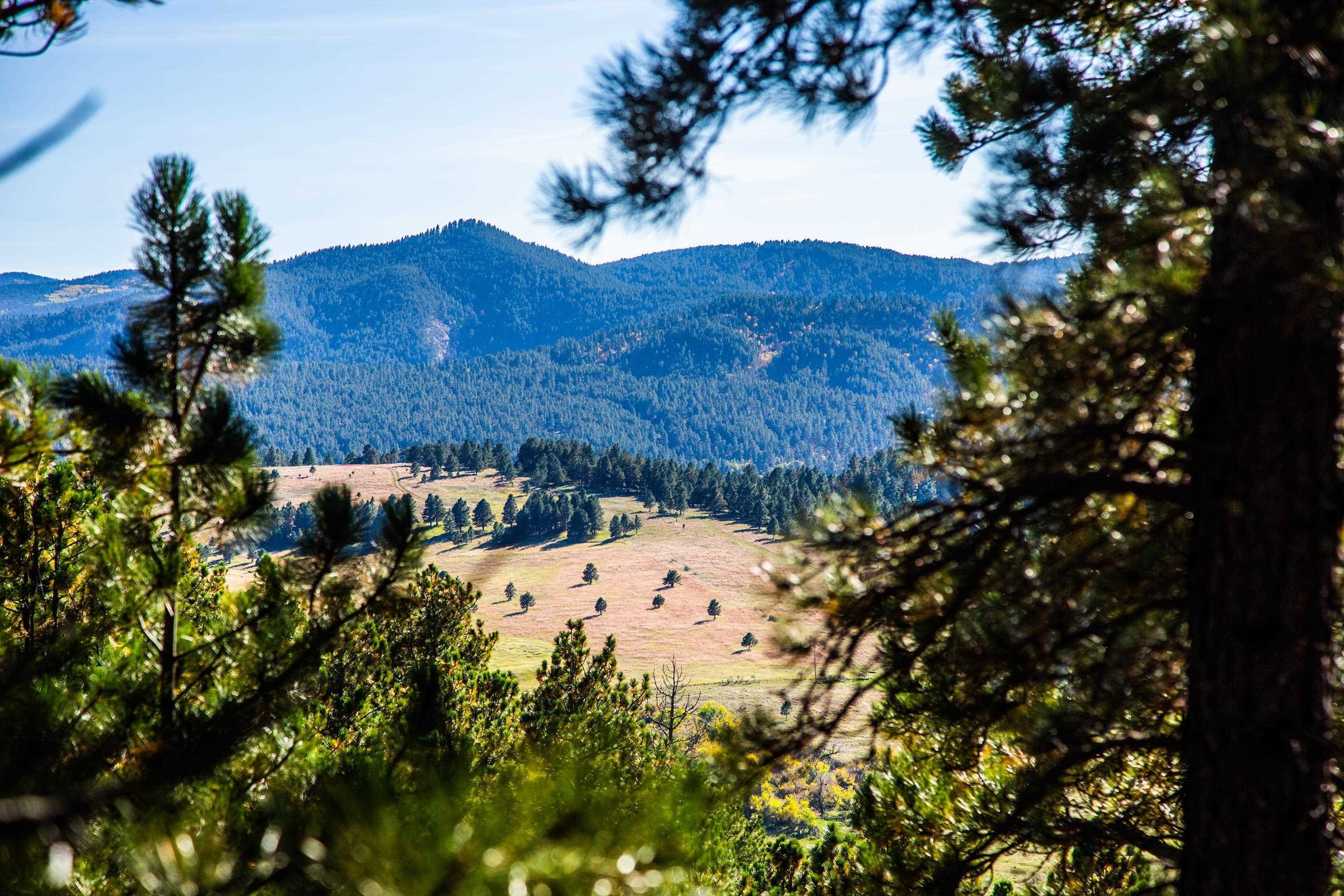 Lot 6 Three Peaks Pass  Whitewood SD 57793 photo