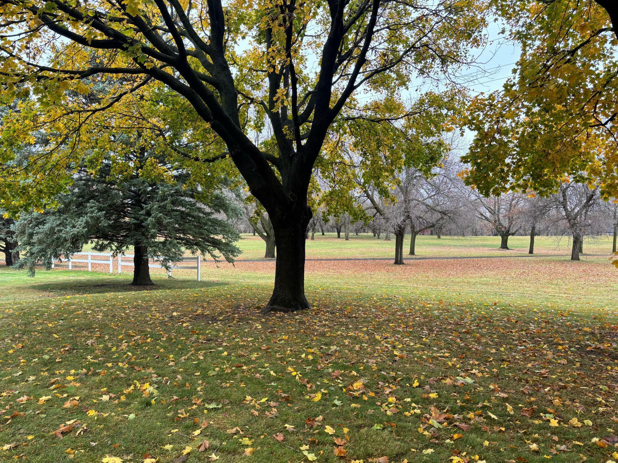 Property Photo: 107 Golf Course Drive IA 50514