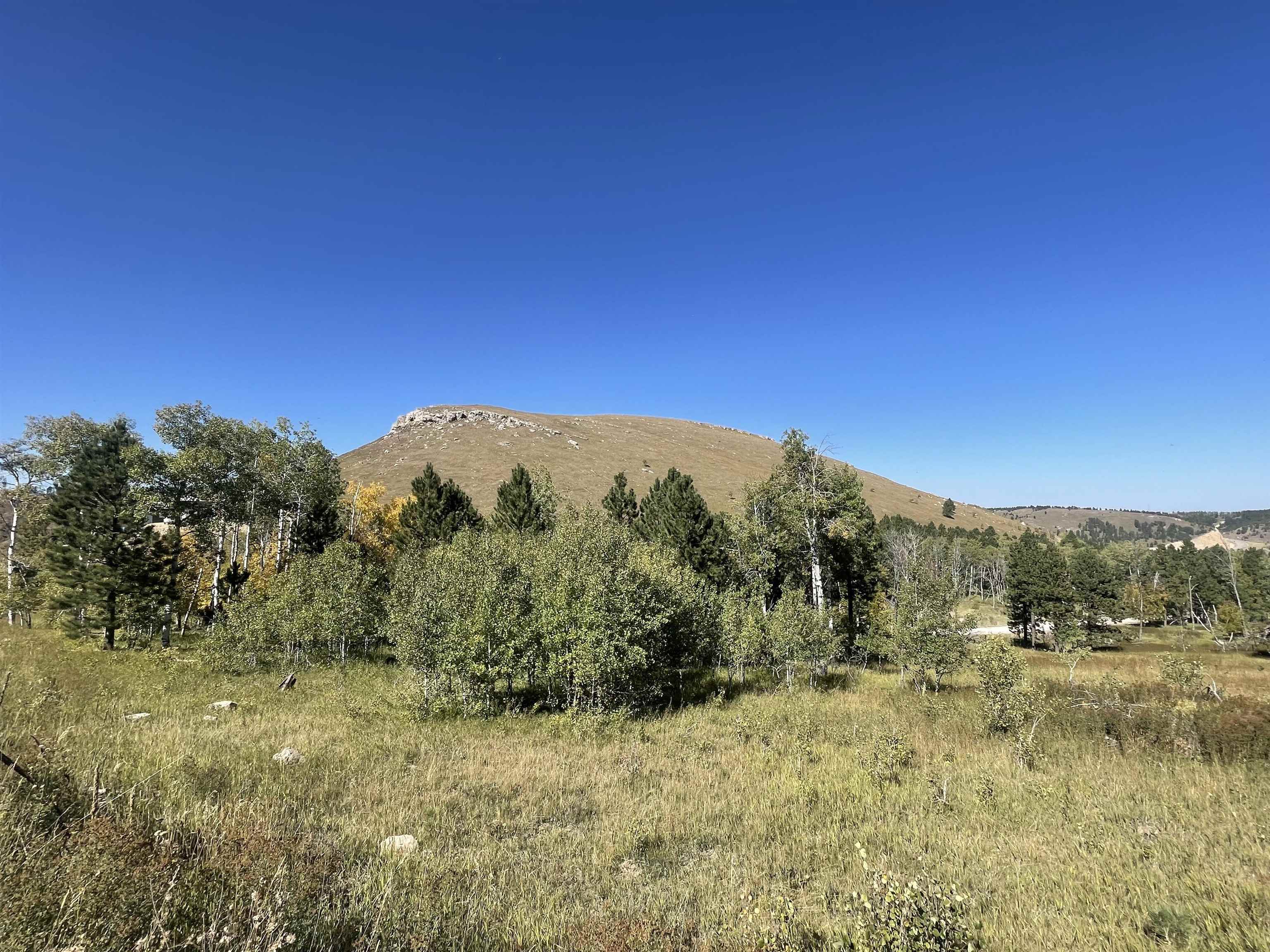 Property Photo:  Lot 1 Majestic Heights Road  SD 57785 