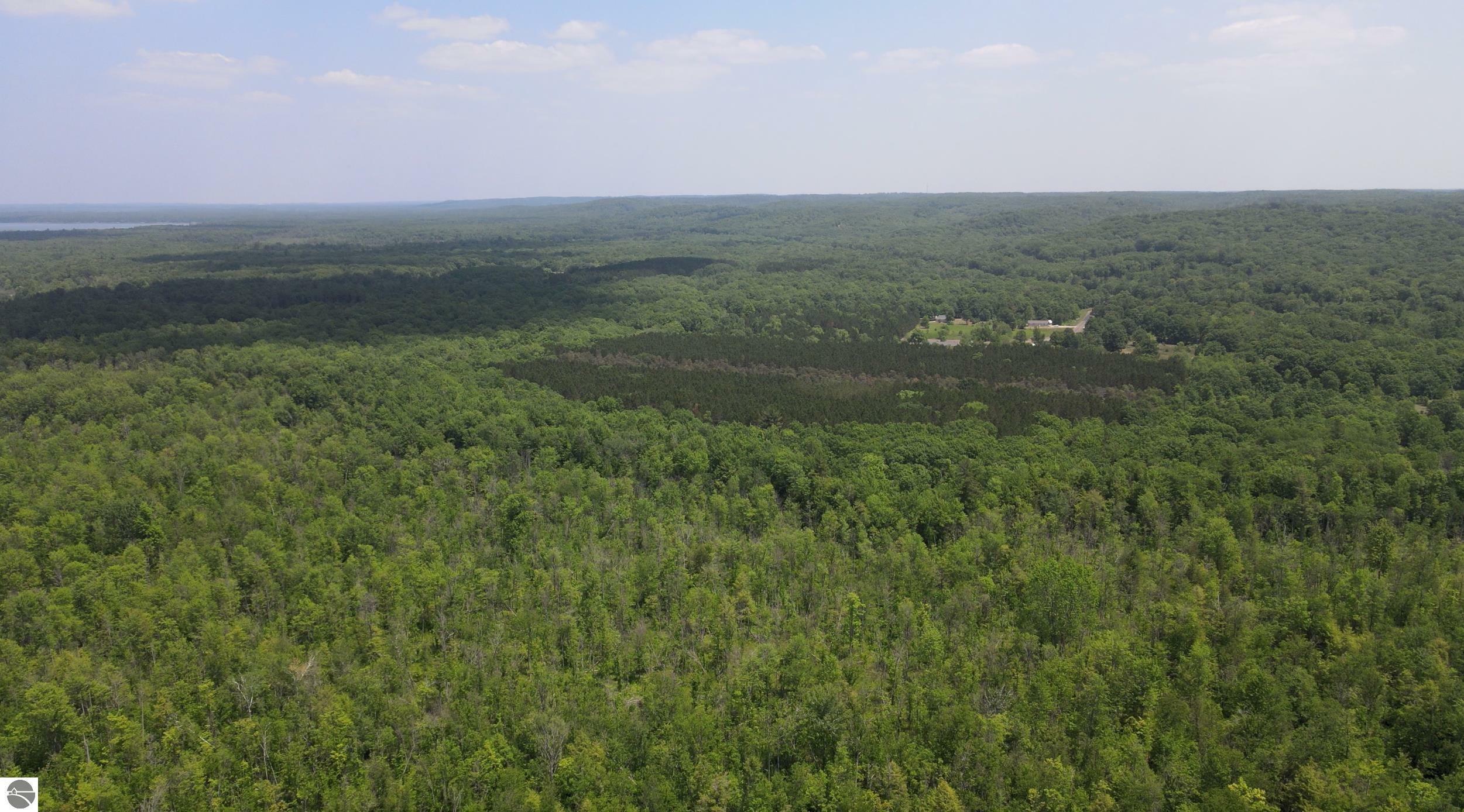 Property Photo:  80 Acres Traverse Road  MI 49683 