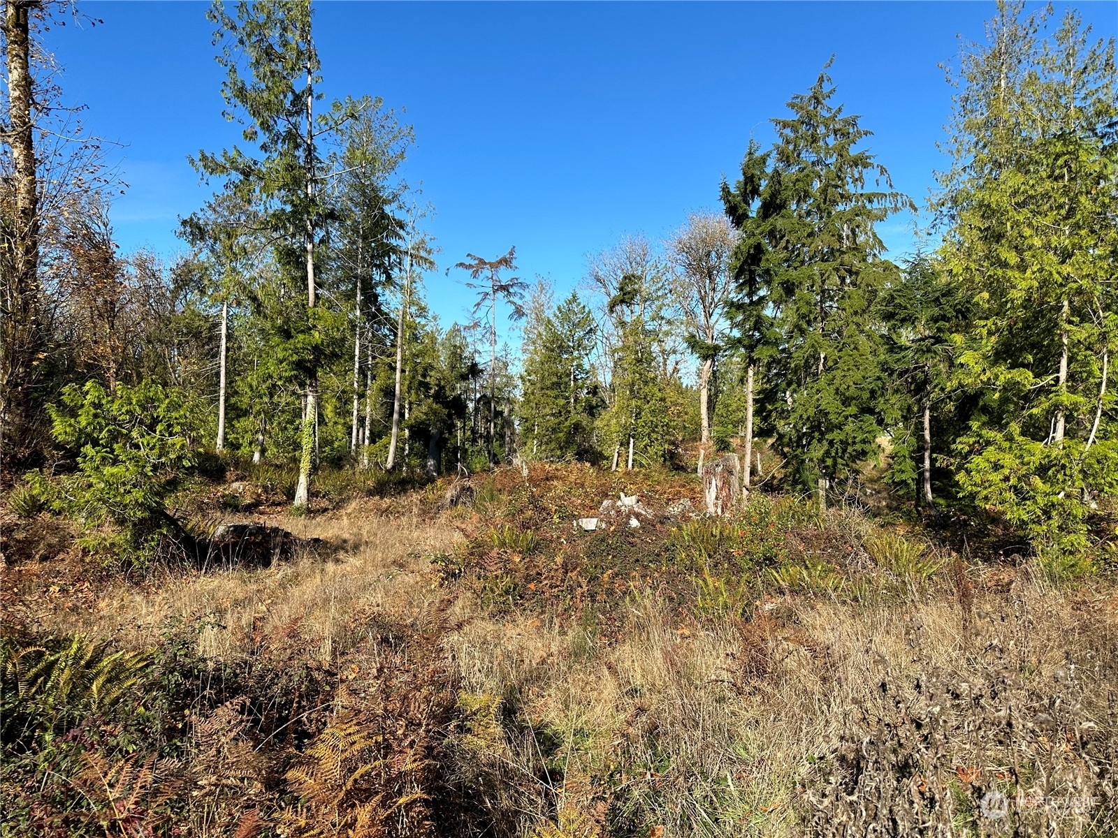 Property Photo:  5 Lots Lilypad Place E  WA 98366 