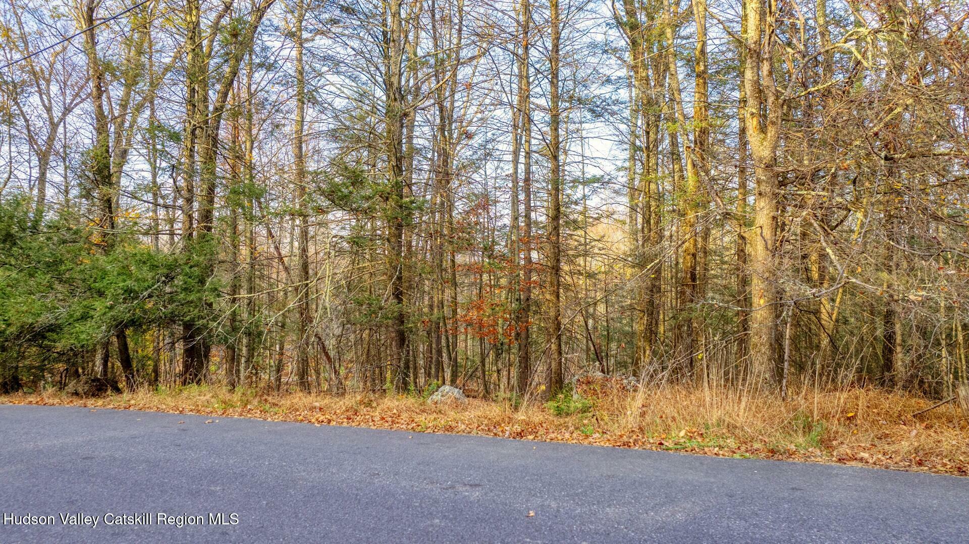 Property Photo:  Tbd Cherry Hill Lot #2  NY 12484 