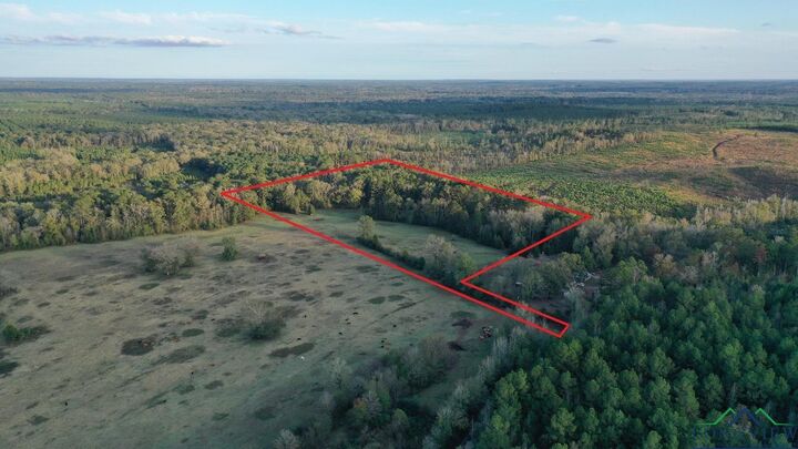 0000 County Road 1763  Linden TX 75563 photo