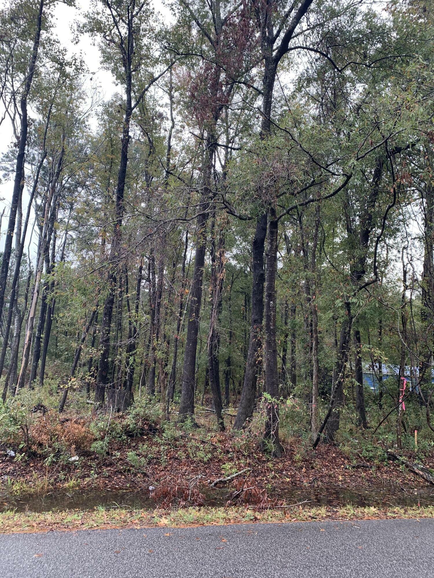 Property Photo:  0 Tuskegee Drive Lot 67  SC 29418 