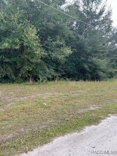 00 SW 131st Terrace  Dunnellon FL 34432 photo