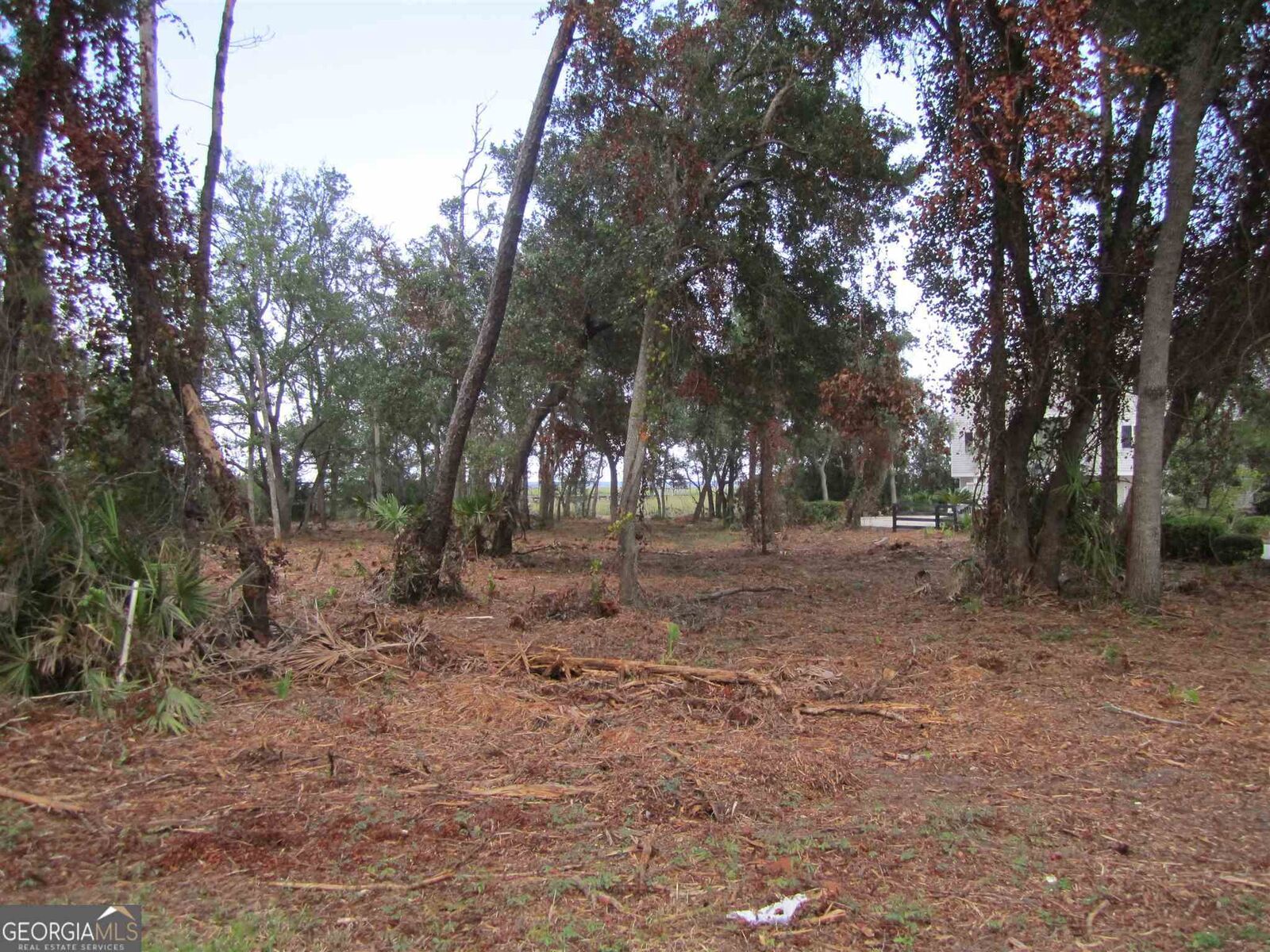 Property Photo: 0 Timucuan Court V/L 59 GA 31558