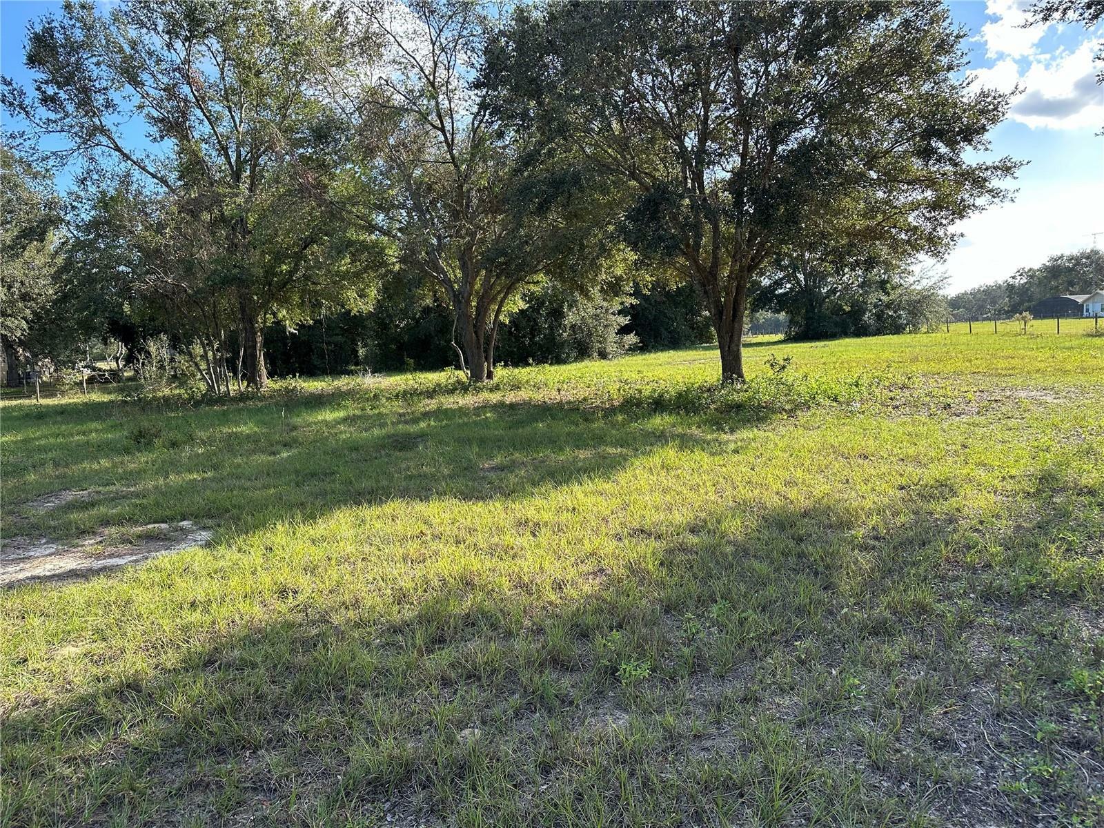 Property Photo:  Griffin Avenue  FL 32159 