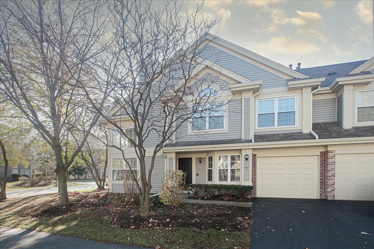 Property Photo: 717 Deep Wood Court IL 60007