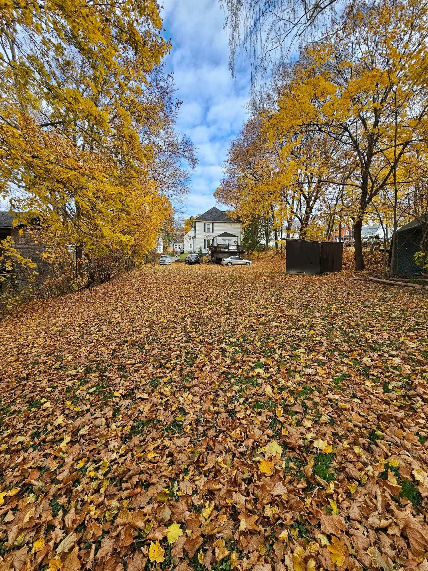 Property Photo:  223 Wilson Street  ME 04412 