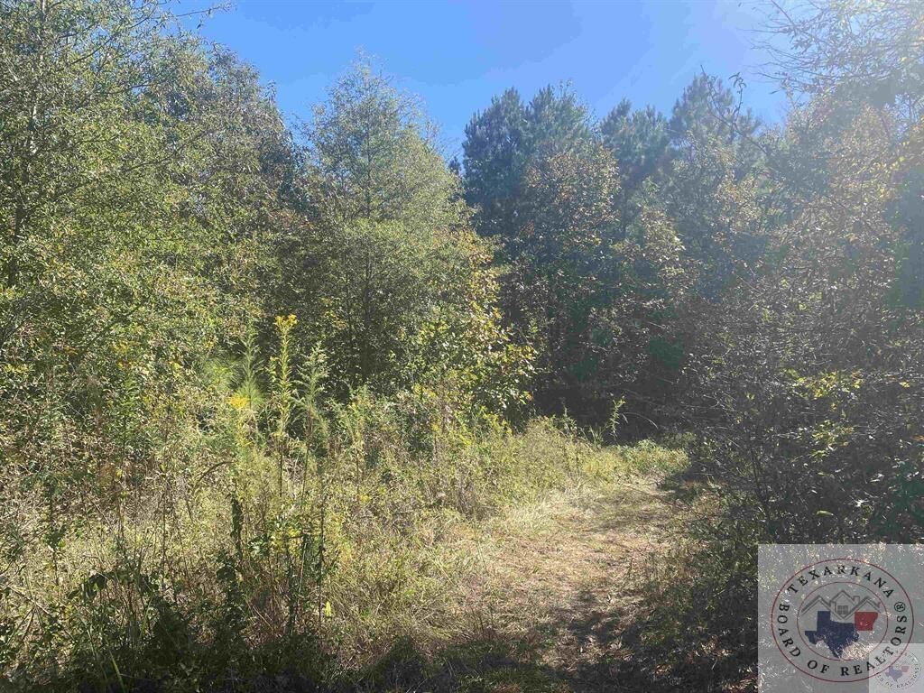 Property Photo:  0 Cr 3301  TX 75559 