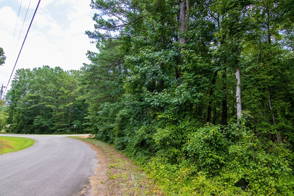 Property Photo:  0 Leisure Circle  GA 31822 