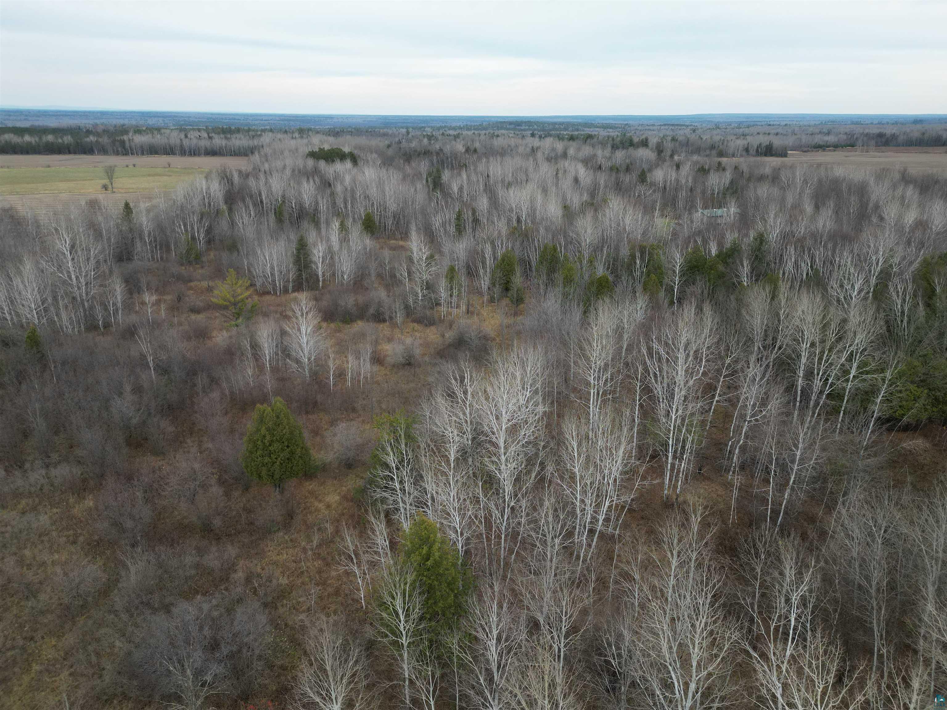 Property Photo: 000 Coria Rd WI 54546