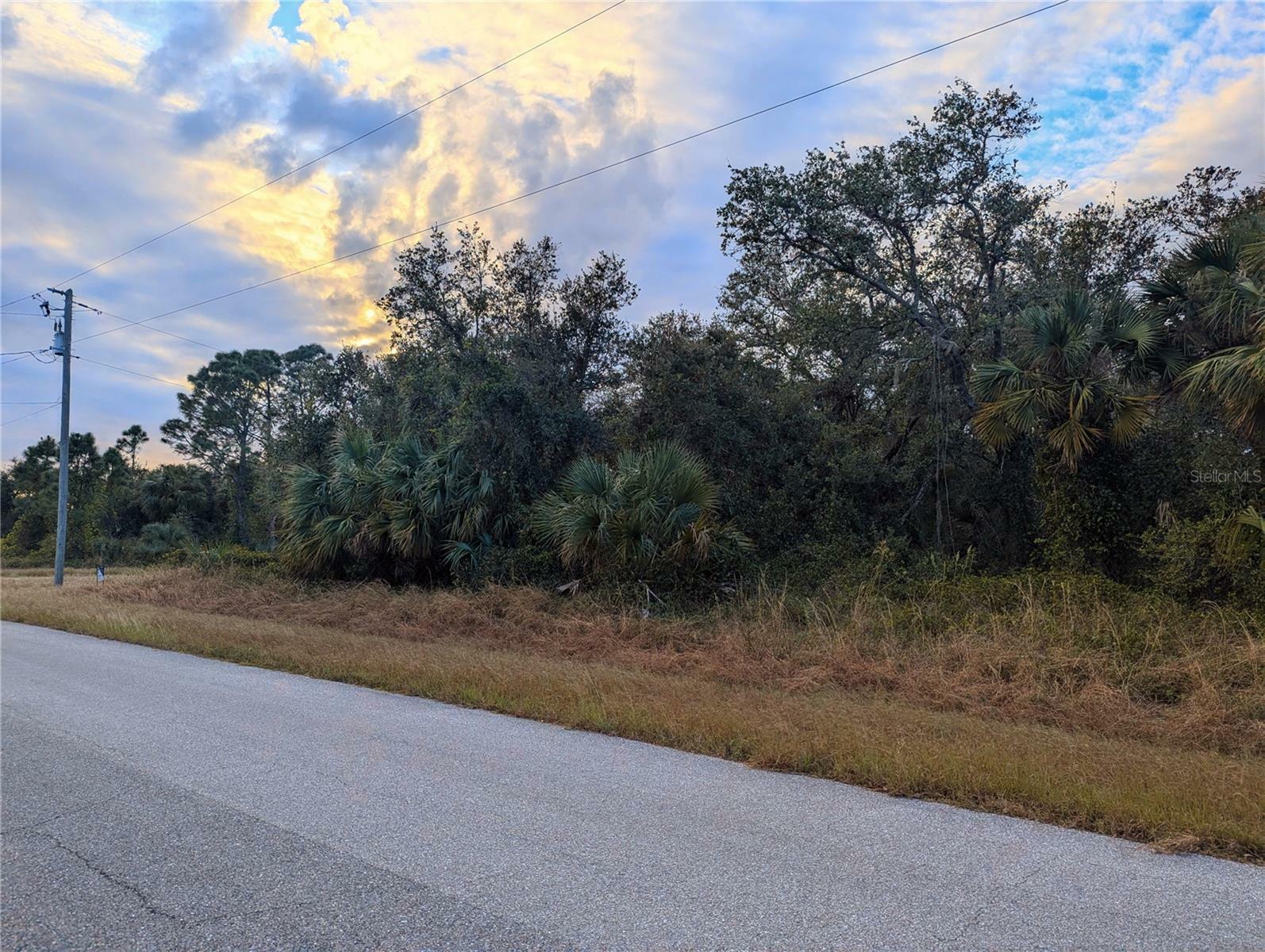 Property Photo:  Lot 13 Mattox Circle  FL 34288 