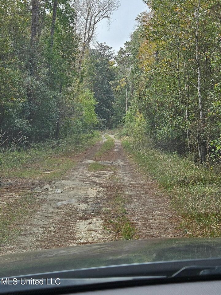 Property Photo:  River Road  MS 39532