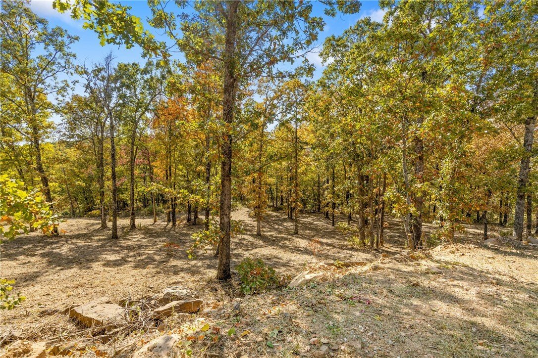 Property Photo:  Lot 18 Restore Ridge  AR 72601 