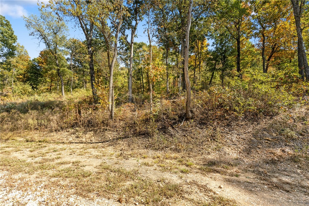 Property Photo:  Lot 48 Restore Ridge  AR 72601 