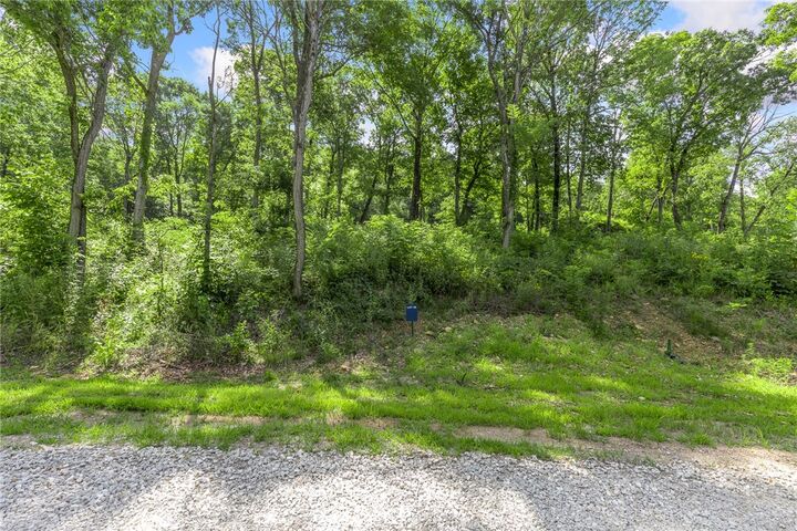 Property Photo: Lot 48 Restore Ridge AR 72601