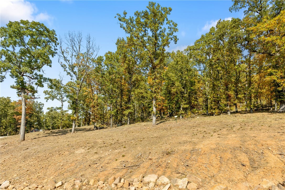 Property Photo:  Lot 22 Restore Ridge  AR 72601 