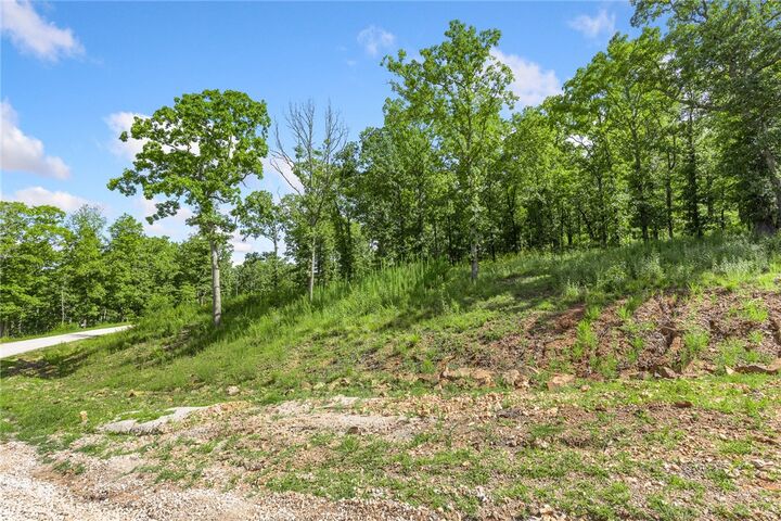 Property Photo: Lot 22 Restore Ridge AR 72601
