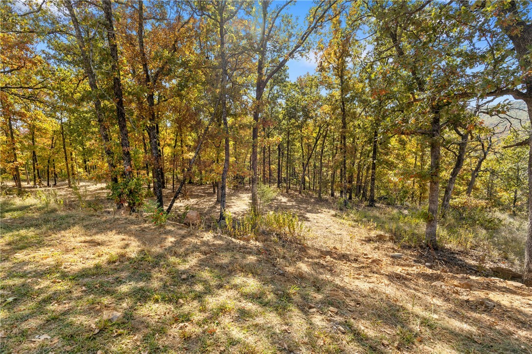 Property Photo:  Lot 19 Restore Ridge  AR 72601 