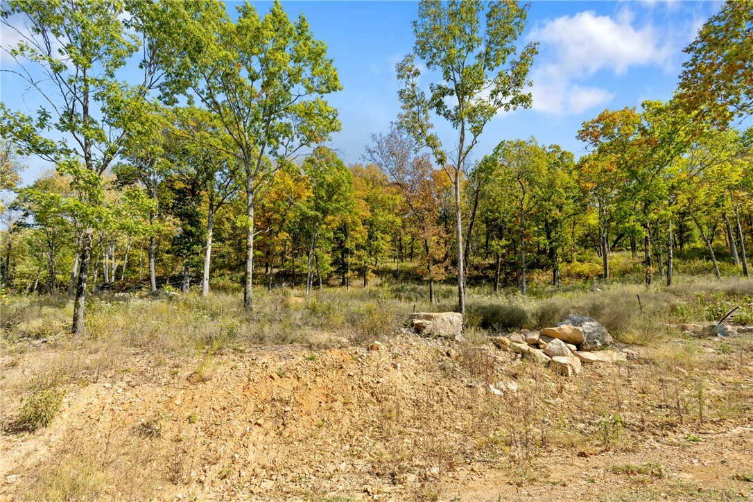 Property Photo:  Lot 55 Restore Ridge  AR 72601 