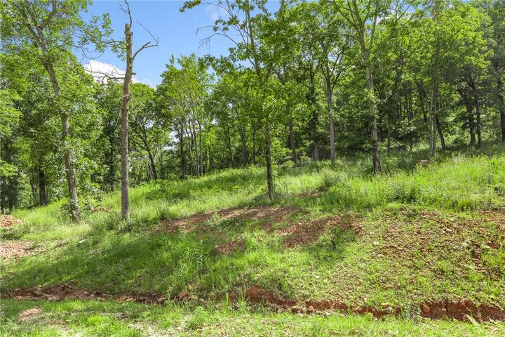 Property Photo: Lot 55 Restore Ridge AR 72601