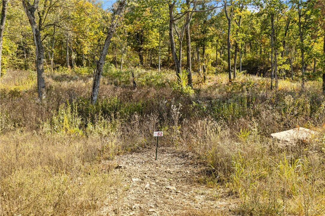 Property Photo:  Lot 52 Restore Ridge  AR 72601 