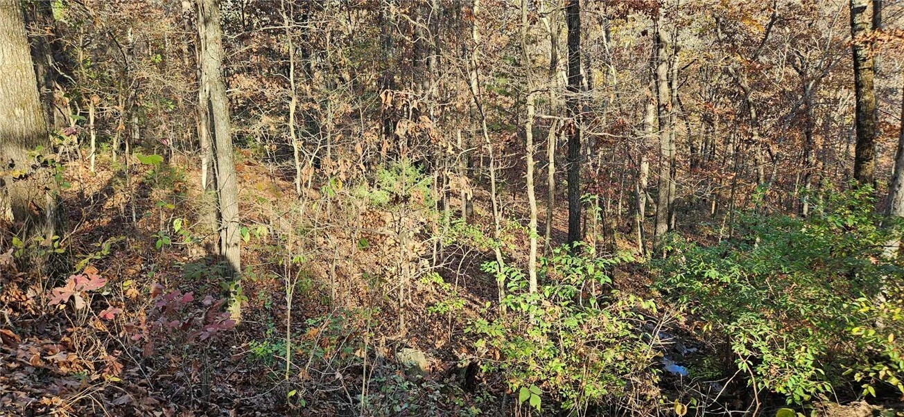 Property Photo:  Tbd Wooten Rd Road  AR 72774 