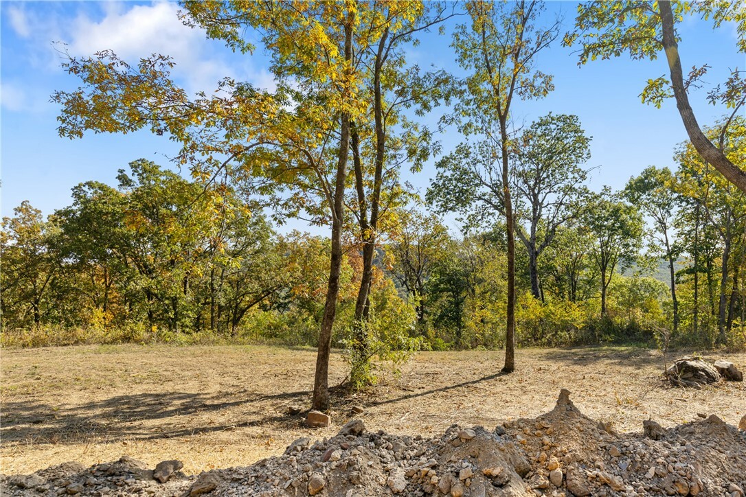 Property Photo:  Lot 32 Peaceful Place  AR 72601 