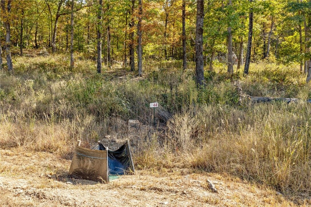 Property Photo:  Lot 44 Restore Ridge  AR 72601 