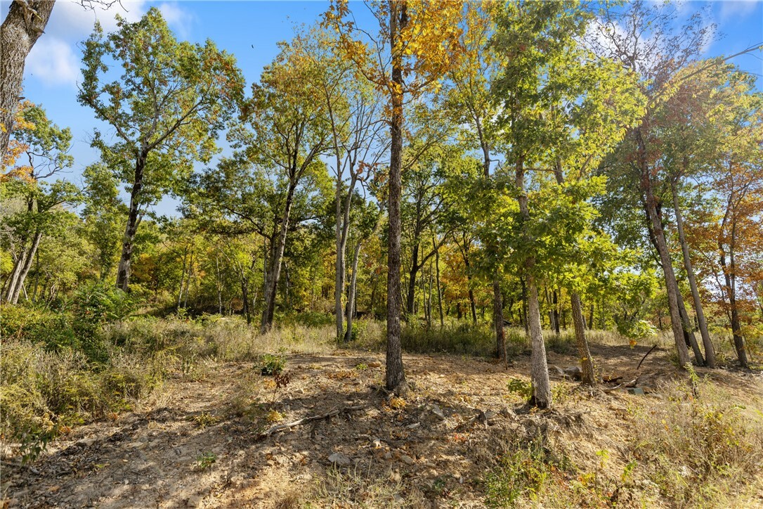 Property Photo:  Lot 53 Restore Ridge  AR 72601 