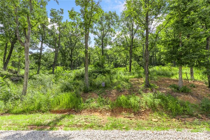 Property Photo: Lot 53 Restore Ridge AR 72601