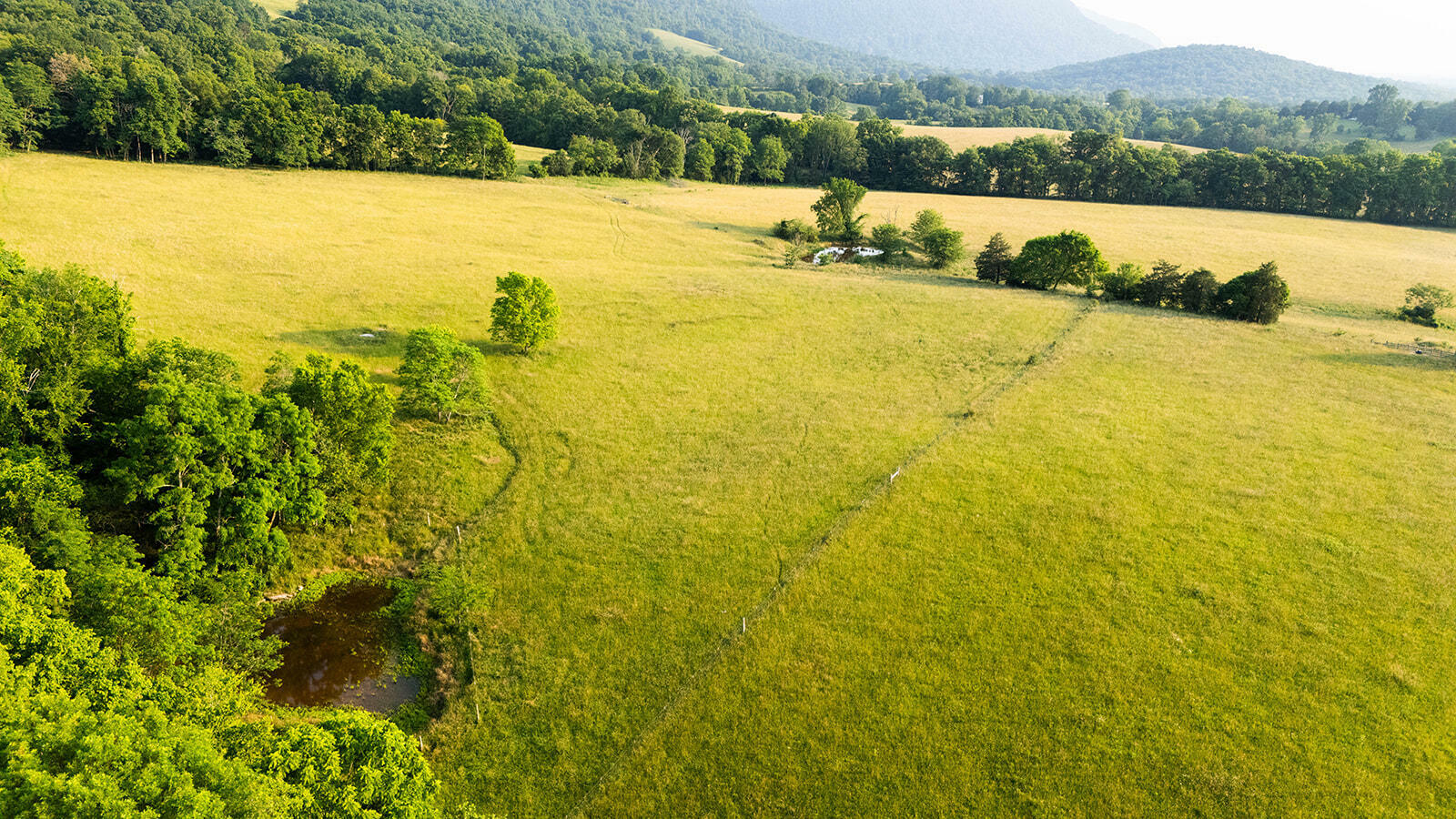 Property Photo: 188 Marion Agee Road TN 37367
