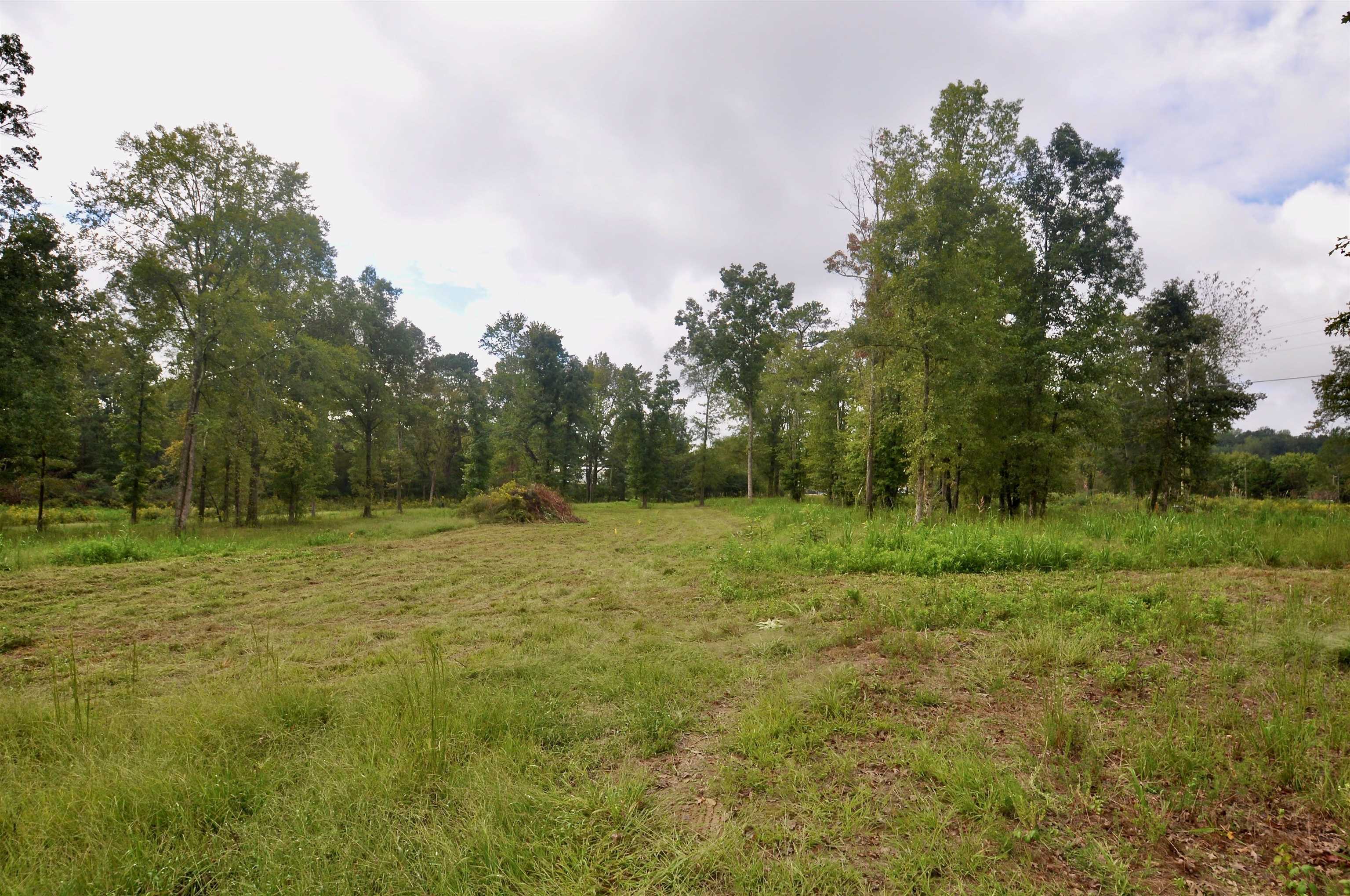 Property Photo:  0 Co Rd 1435  AL 35179 - VINEMONT 