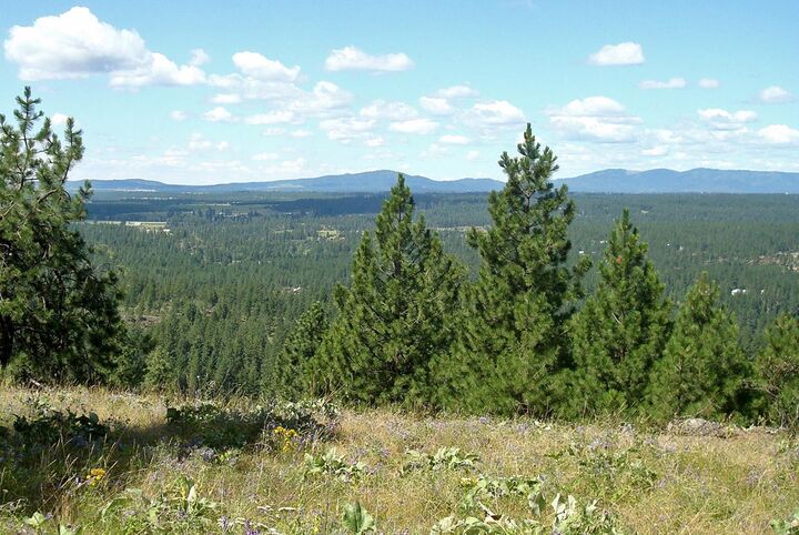 Lot 33 E Robin Ln  Chattaroy WA 99003 photo