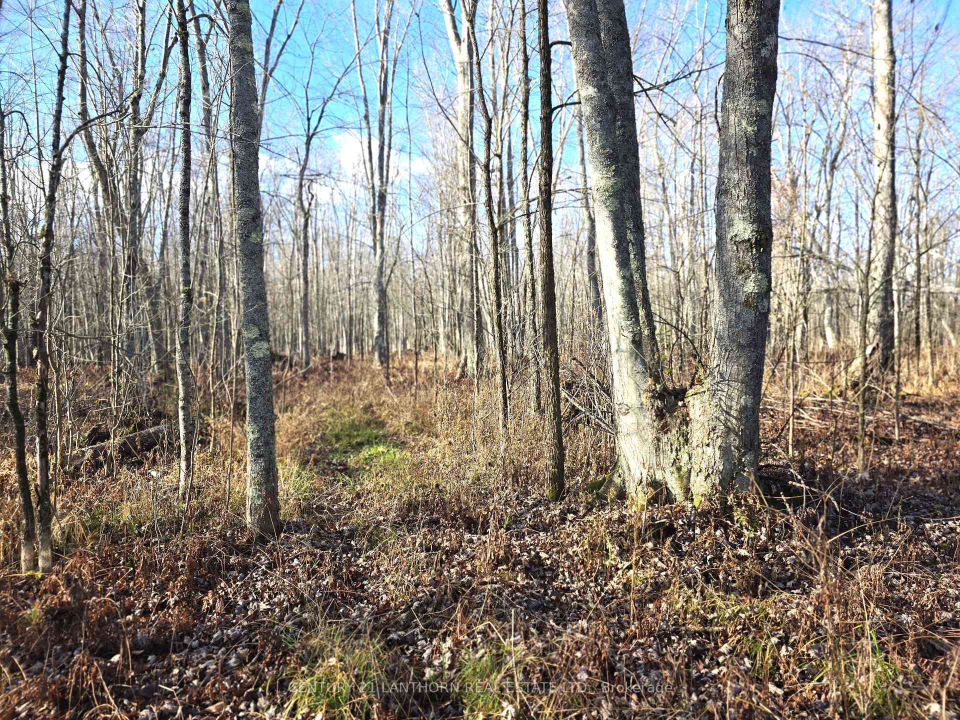 Photo de la propriété:  0 Enright Road  ON K0K 3A0 