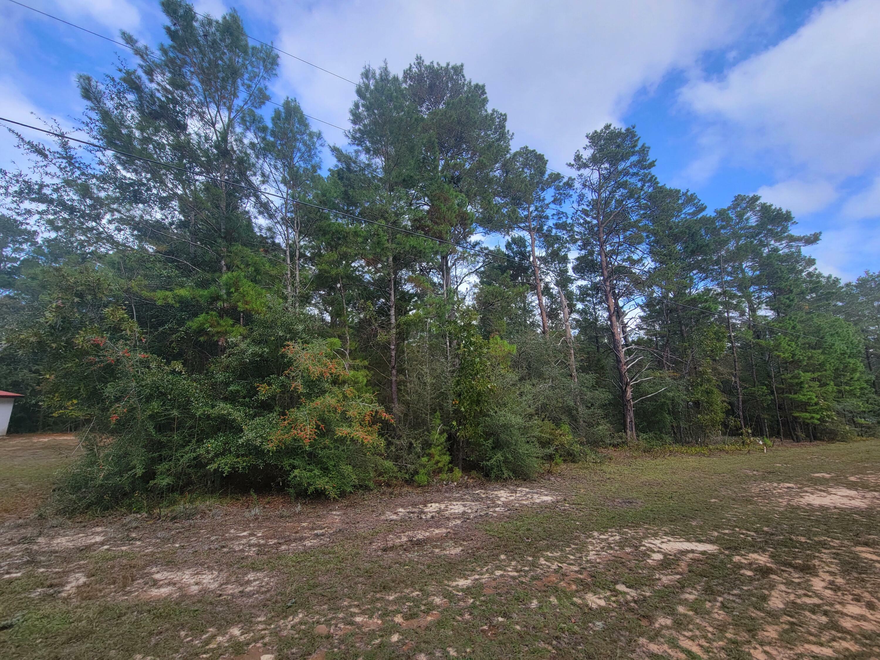 Property Photo:  Lot 6 & 14 W May Lilly Court  FL 32433 