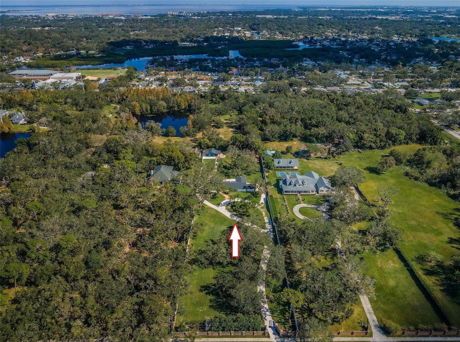 Property Photo:  1835 S Keene Road  FL 33756 