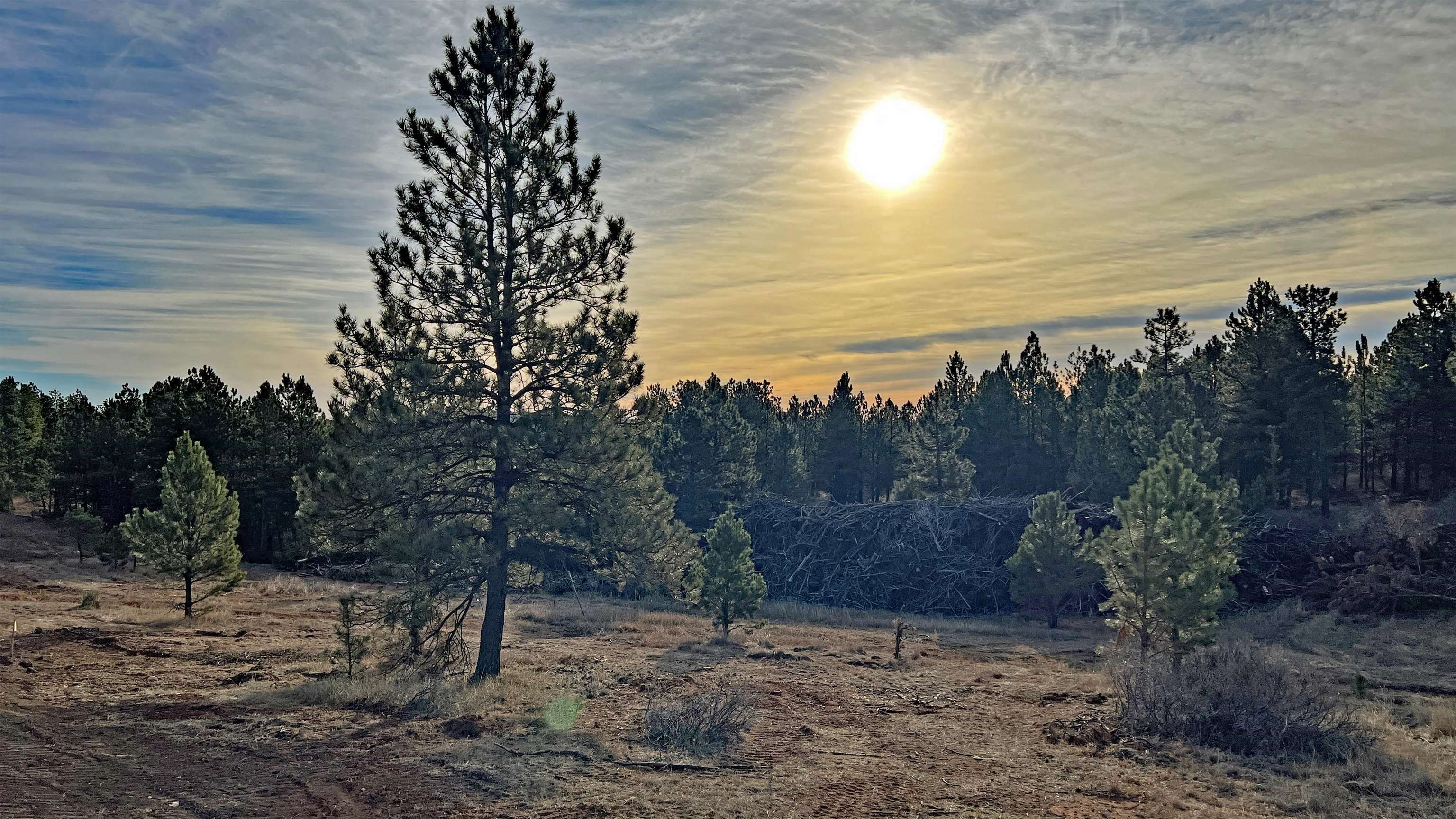 Property Photo:  Lot 3 Westwind Drive  SD 57747 