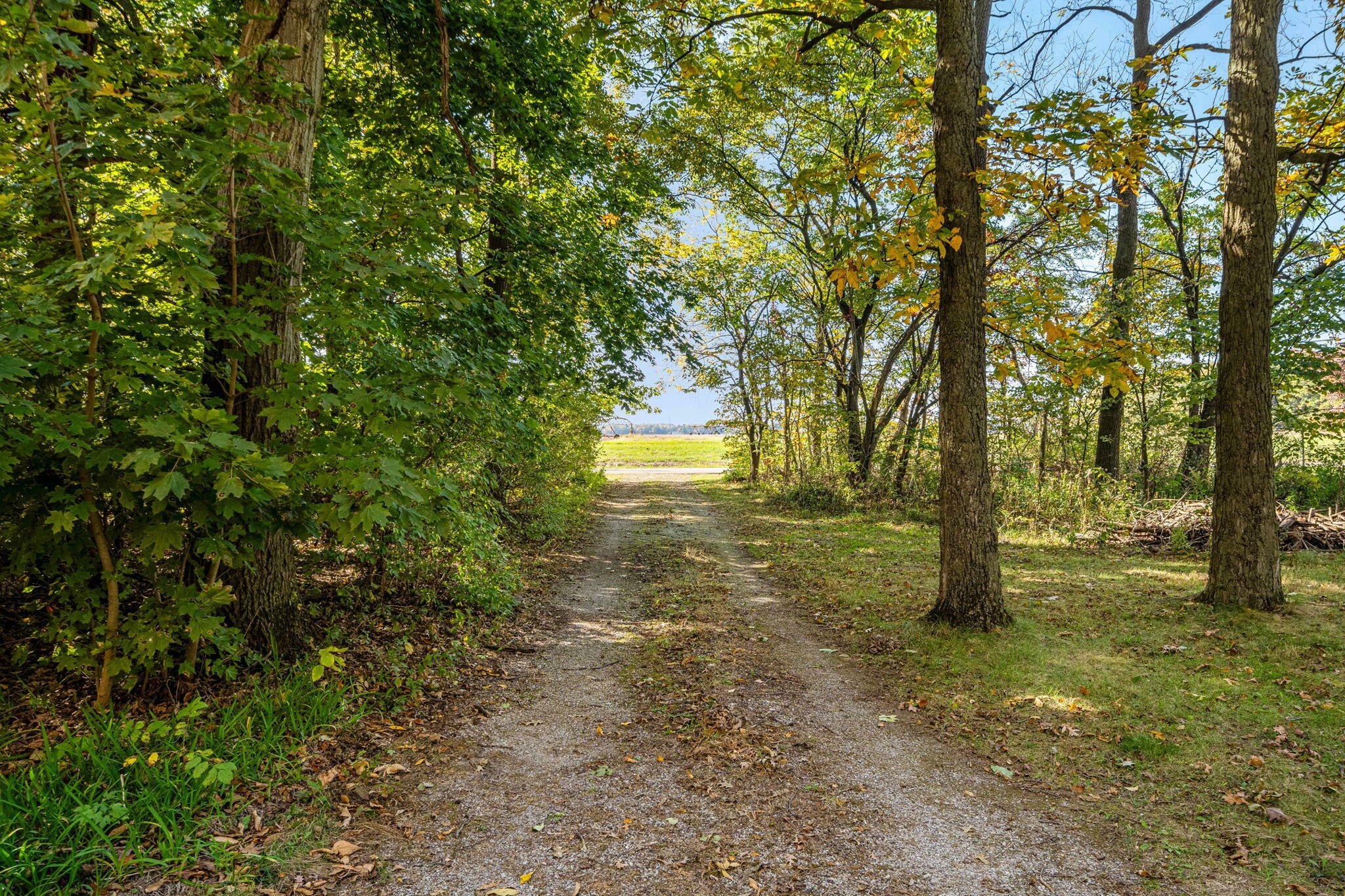 Property Photo:  69897 Hilltop Drive  MI 49130 